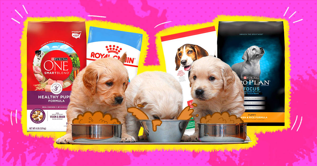 dog food for puppies
